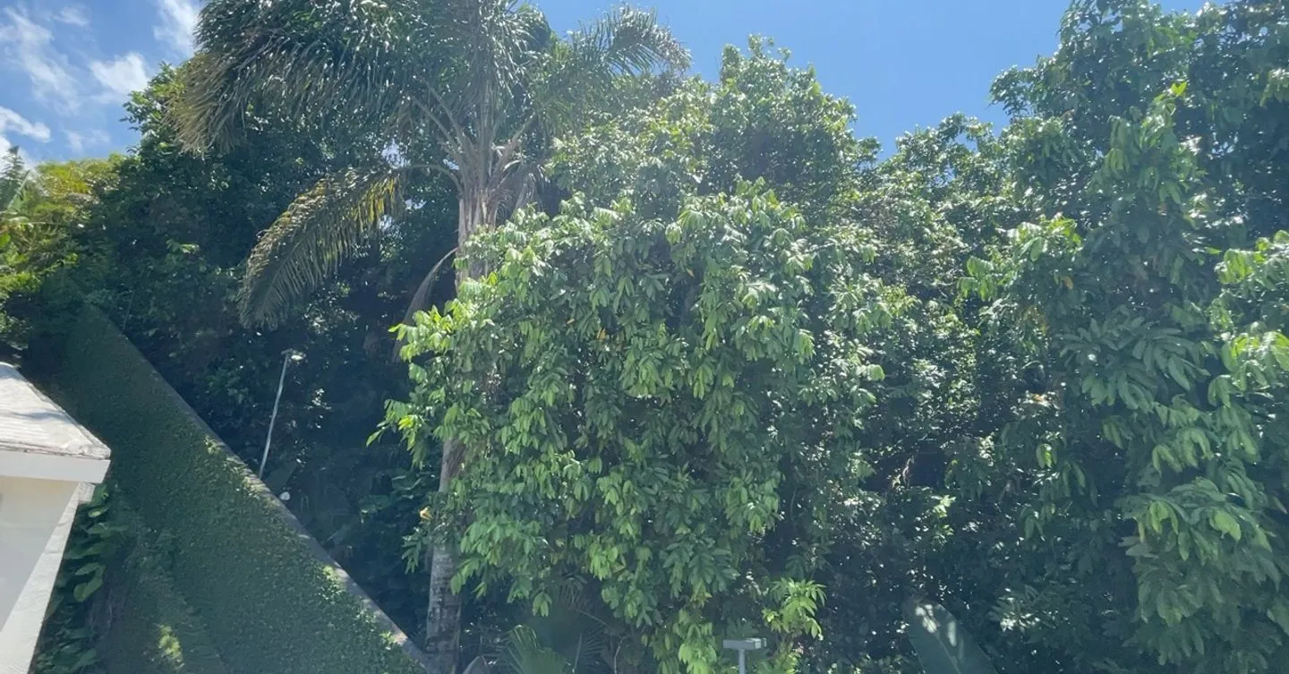 VN26014999 - Photo 2